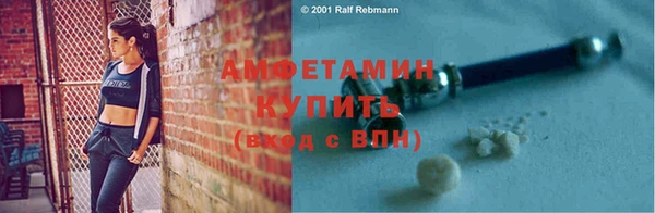 стаф Осинники
