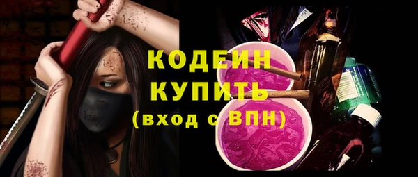 стаф Осинники