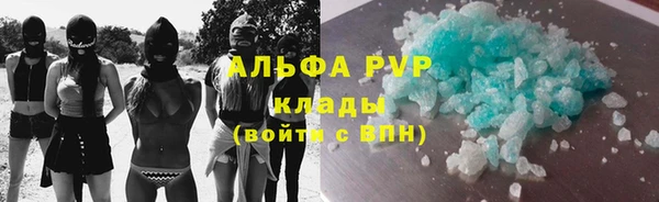 стаф Осинники