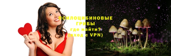 стаф Осинники
