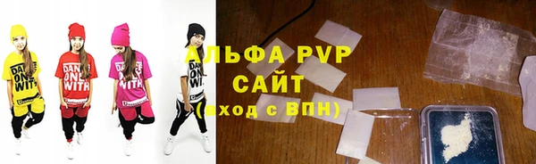 стаф Осинники