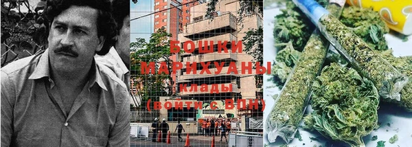 стаф Осинники