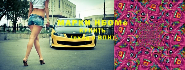 стаф Осинники