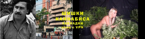 стаф Осинники