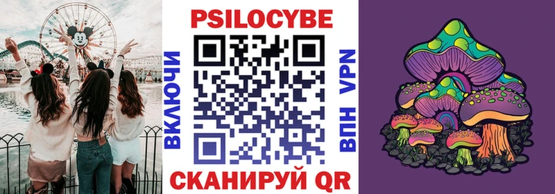 МЕГА ссылка  купить наркоту  Тольятти  Псилоцибиновые грибы ЛСД 