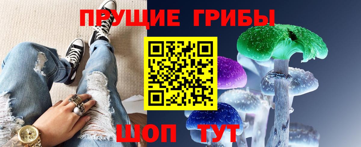 даркнет сайт  Тольятти  Псилоцибиновые грибы мицелий 